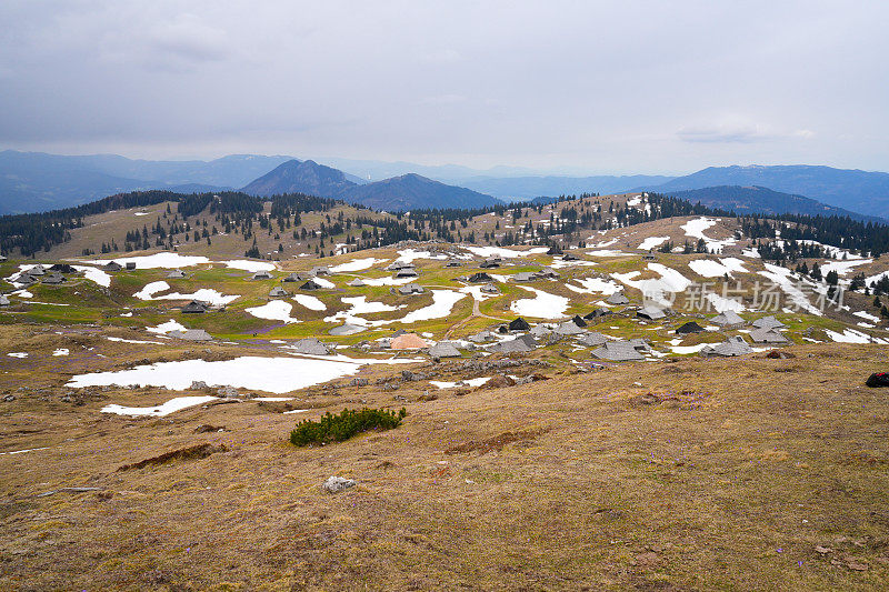 Velika planina，欧洲斯洛文尼亚的大牧场高原，有很多小屋，一些雪，藏红花和多云的天空。